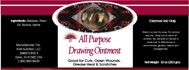 All Purpose Drawing Ointment