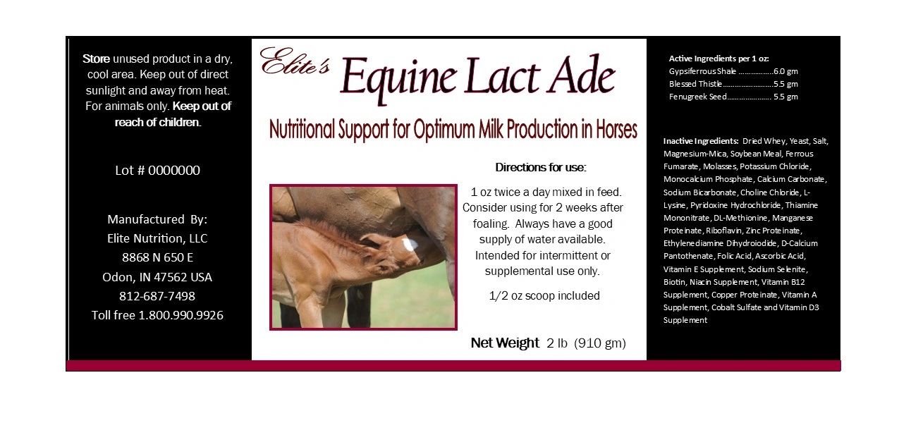 Equine Lact Ade