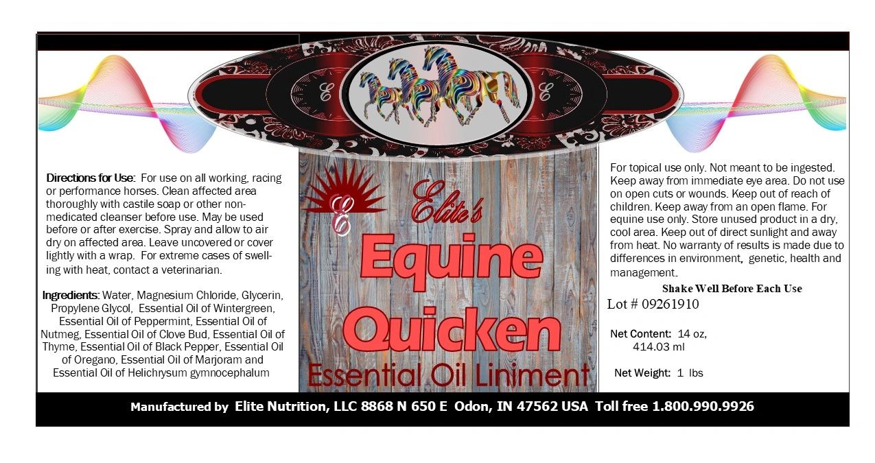 Equine Quicken Liniment