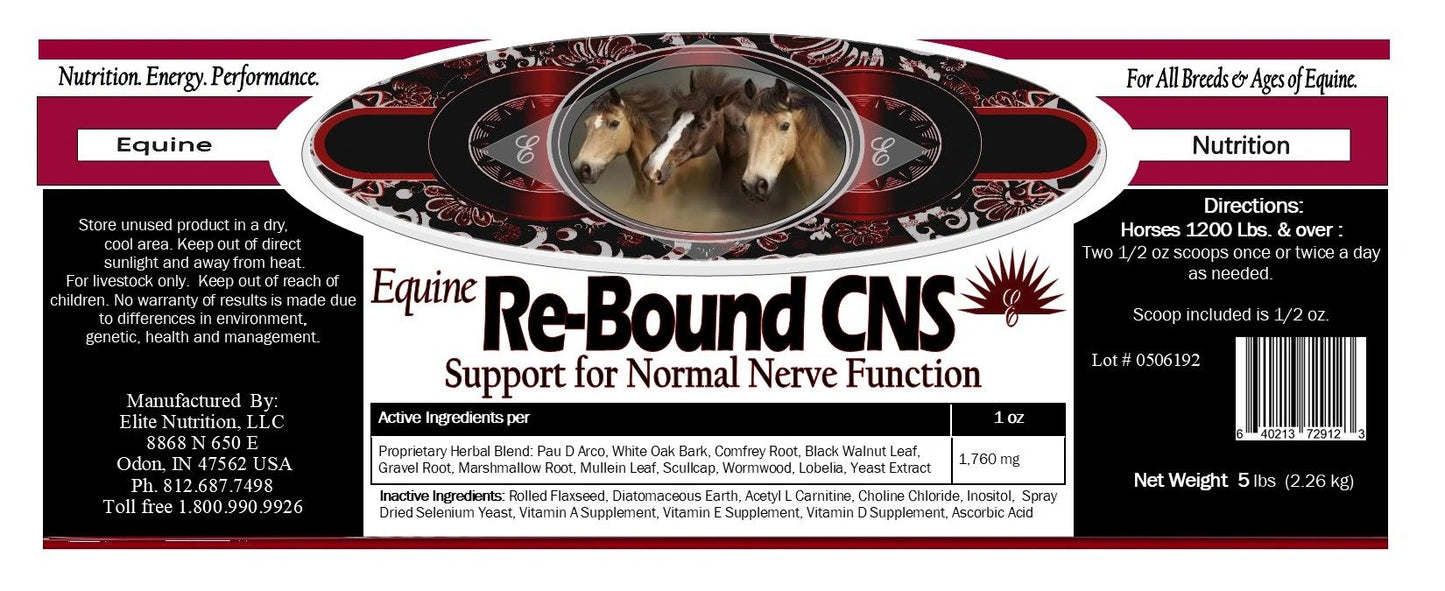 Re-Bound CNS