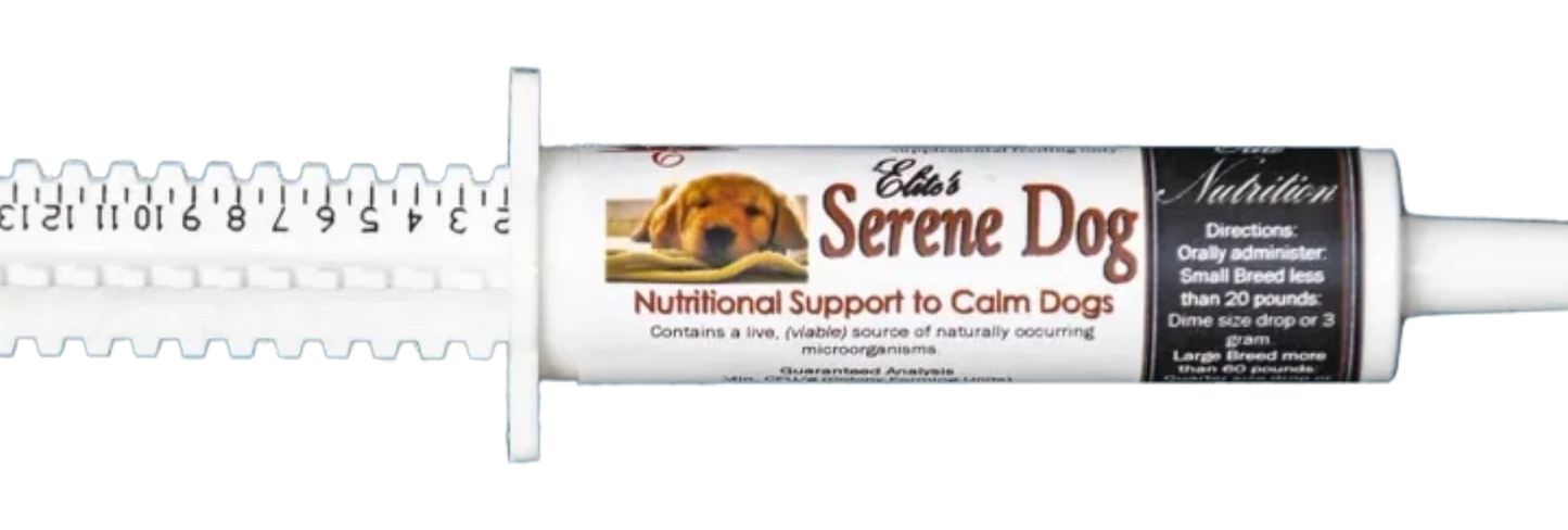 Serene Dog
