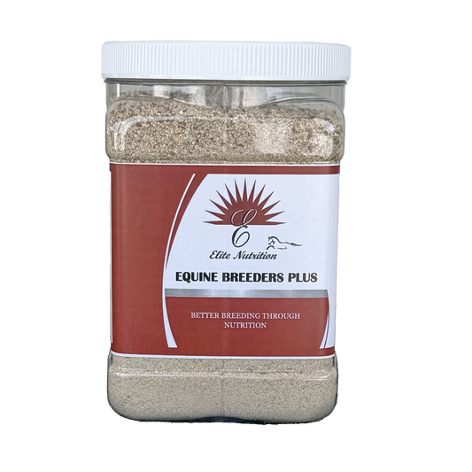 Equine Breeders Plus