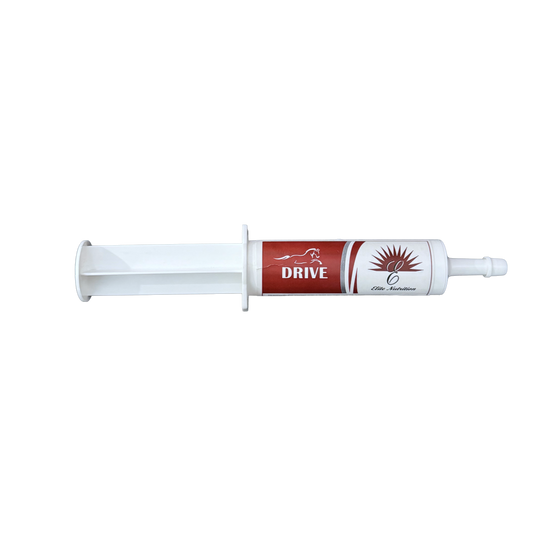 Drive for Stallions