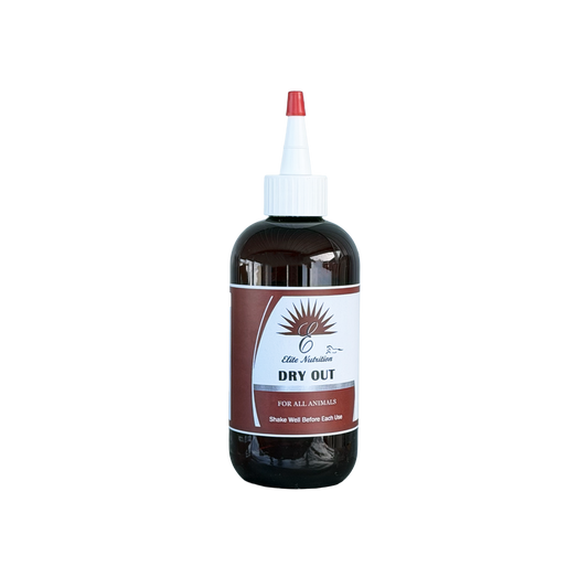 Dry Out for Wound Care