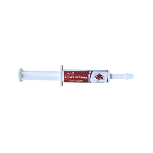 Kidney Support 25 Pack
