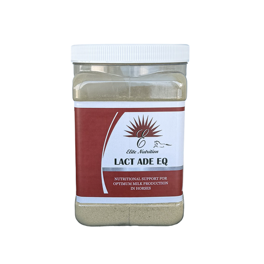 Equine Lact Ade