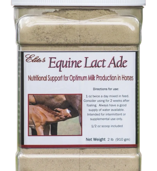 Equine Lact Ade