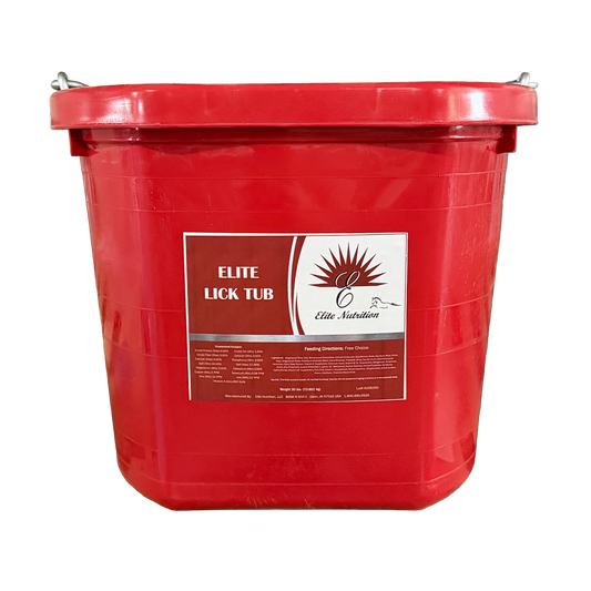 Elite's Lick Bucket 30 lb