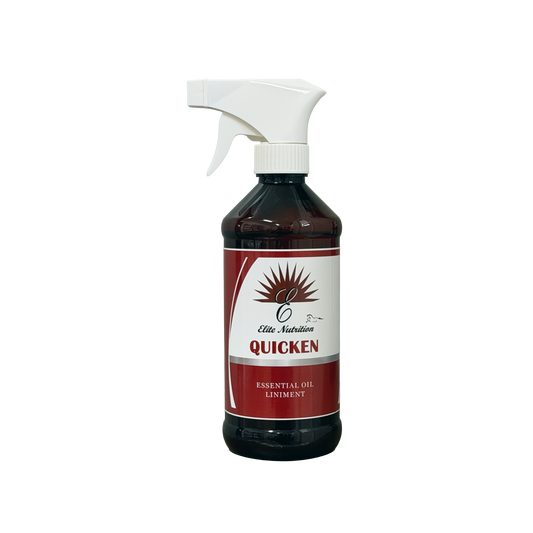 Equine Quicken Liniment