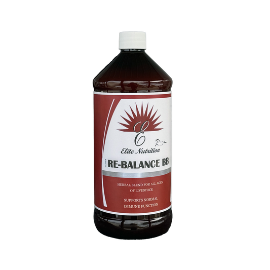 Re-Balance Bb