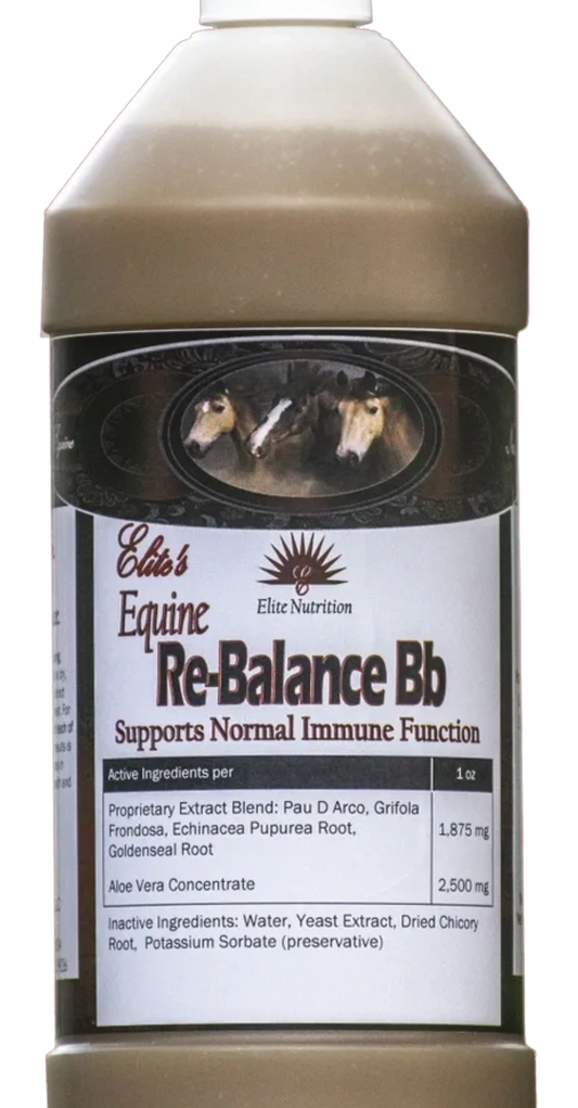 Re-Balance Bb