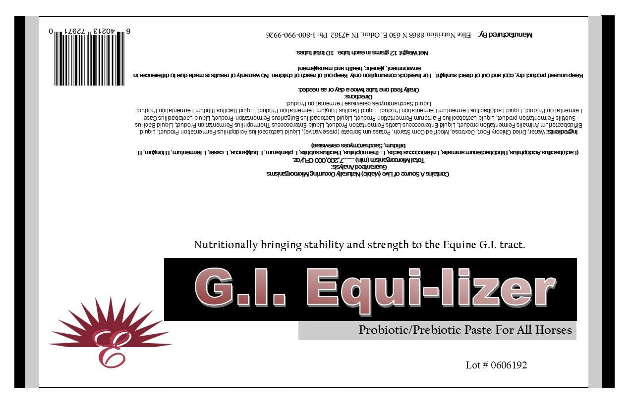 G.I. Equi-Lizer Tubes 10-Pack
