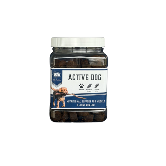 Active Dog Chews