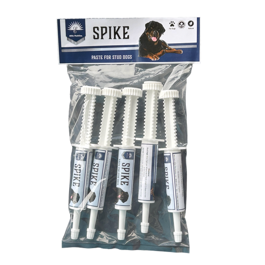 Spike for Stud Dogs 5 Pack