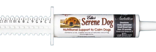 Serene Dog